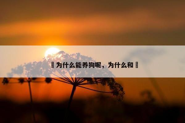 珅为什么能养狗呢,为什么和珅