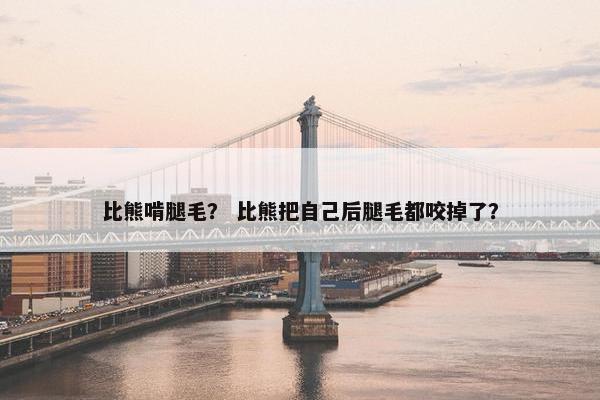比熊啃腿毛？ 比熊把自己后腿毛都咬掉了？
