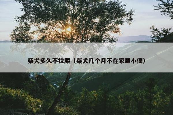 柴犬多久不拉屎(柴犬几个月不在家里小便)