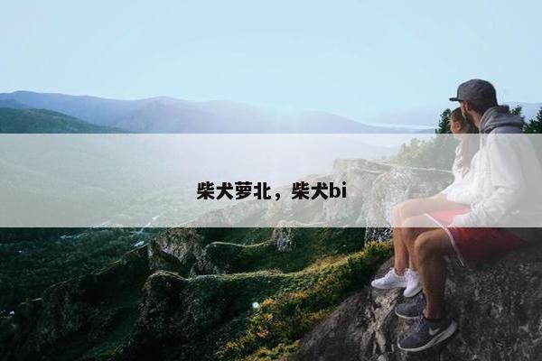 柴犬萝北,柴犬bi