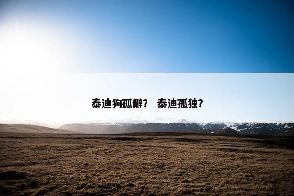 泰迪狗孤僻？ 泰迪孤独？