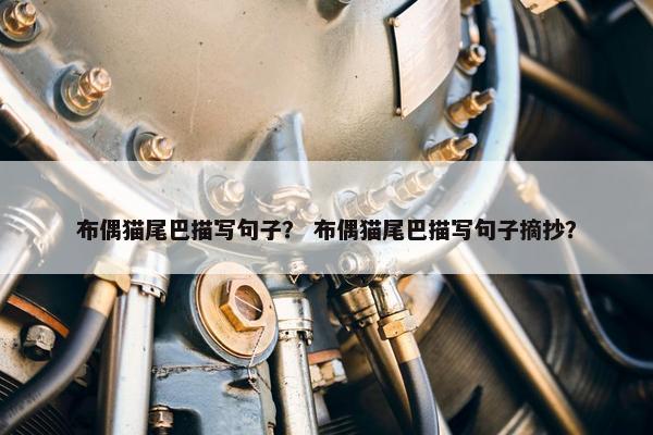 布偶猫尾巴描写句子？ 布偶猫尾巴描写句子摘抄？