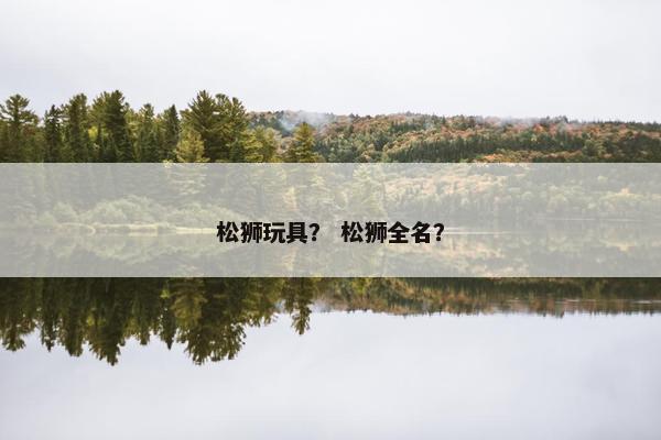 松狮玩具？ 松狮全名？