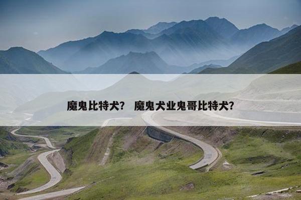 魔鬼比特犬？ 魔鬼犬业鬼哥比特犬？