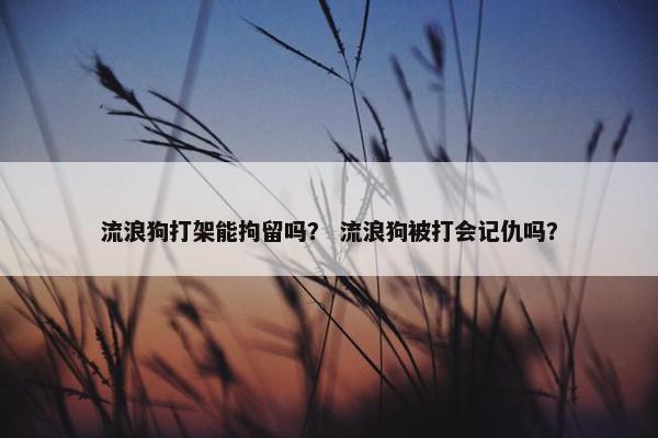 流浪狗打架能拘留吗? 流浪狗被打会记仇吗?