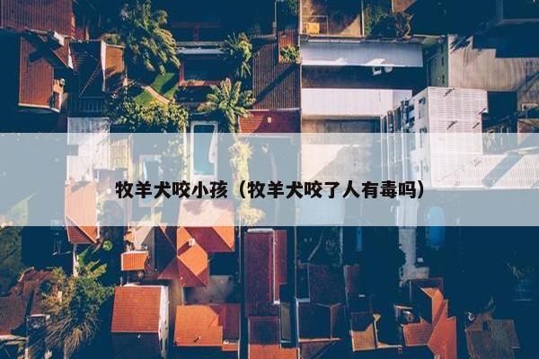 牧羊犬咬小孩（牧羊犬咬了人有毒吗）