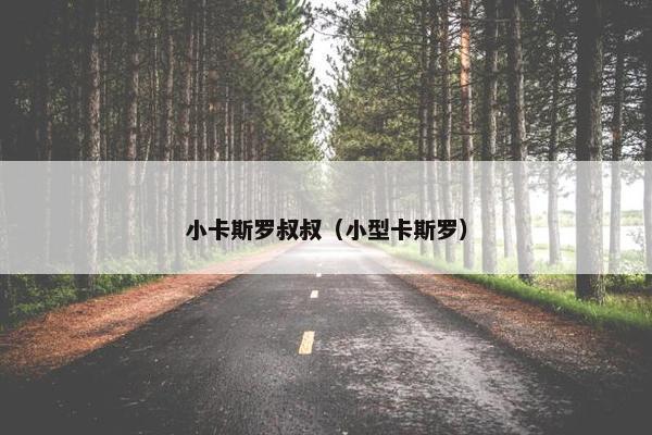小卡斯罗叔叔（小型卡斯罗）