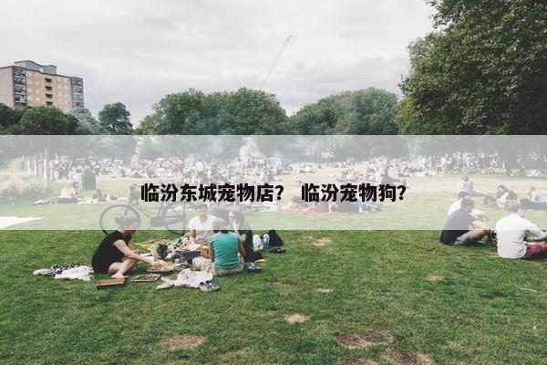 临汾东城宠物店？ 临汾宠物狗？