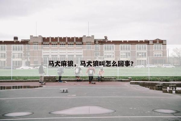 马犬麻狼，马犬狼叫怎么回事?