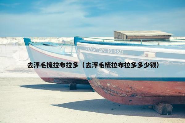 去浮毛梳拉布拉多（去浮毛梳拉布拉多多少钱）