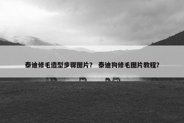 泰迪修毛造型步骤图片? 泰迪狗修毛图片教程?