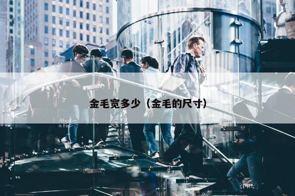 金毛宽多少（金毛的尺寸）
