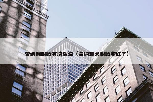 雪纳瑞眼睛有块浑浊（雪纳瑞犬眼睛变红了）