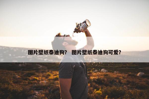法律