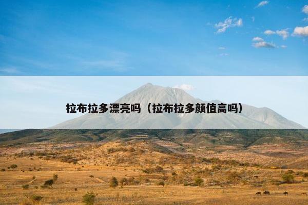 拉布拉多漂亮吗（拉布拉多颜值高吗）