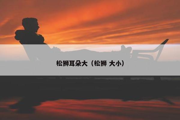 松狮耳朵大（松狮 大小）