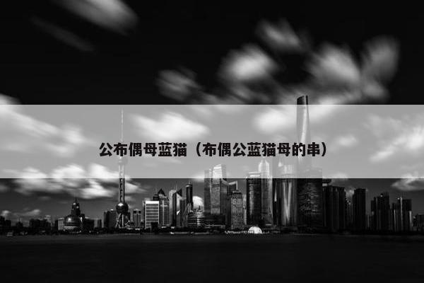 公布偶母蓝猫（布偶公蓝猫母的串）