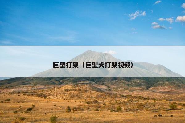 巨型打架（巨型犬打架视频）