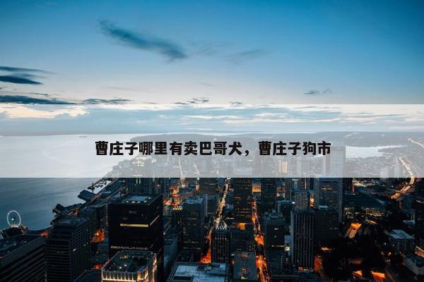 曹庄子哪里有卖巴哥犬，曹庄子狗市
