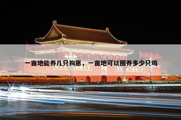 一亩地能养几只狗崽，一亩地可以圈养多少只鸡