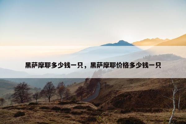 黑萨摩耶多少钱一只，黑萨摩耶价格多少钱一只