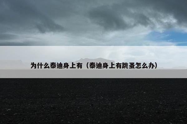为什么泰迪身上有(泰迪身上有跳蚤怎么办)
