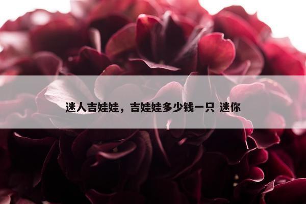 迷人吉娃娃，吉娃娃多少钱一只 迷你