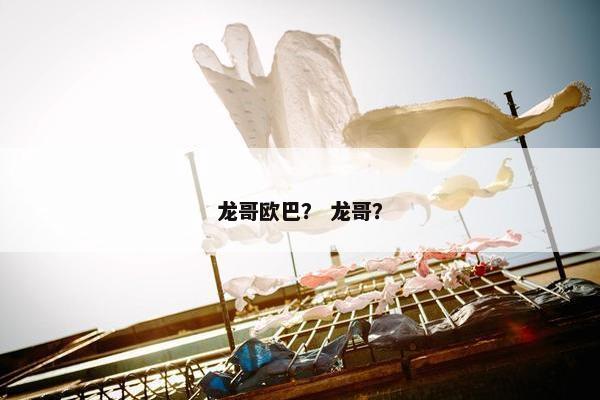 龙哥欧巴？ 龙哥？