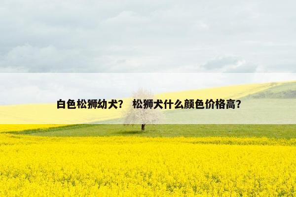 白色松狮幼犬？ 松狮犬什么颜色价格高？