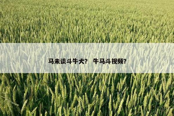 马未谈斗牛犬？ 牛马斗视频？