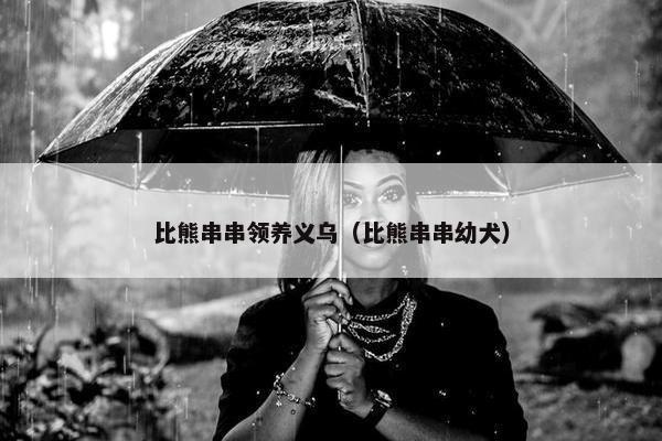 比熊串串领养义乌（比熊串串幼犬）