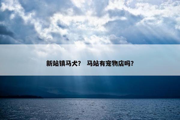 新站镇马犬? 马站有宠物店吗?