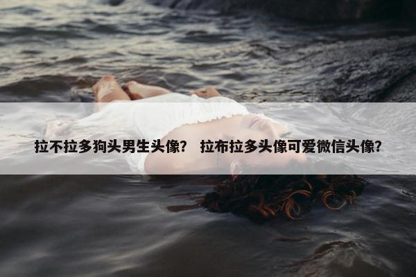 拉不拉多狗头男生头像？ 拉布拉多头像可爱微信头像？