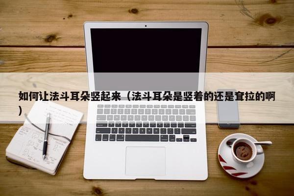 如何让法斗耳朵竖起来（法斗耳朵是竖着的还是耷拉的啊）