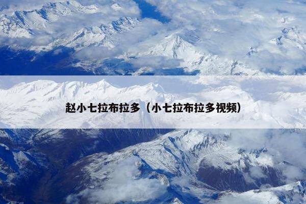 赵小七拉布拉多（小七拉布拉多视频）
