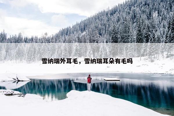 雪纳瑞外耳毛，雪纳瑞耳朵有毛吗