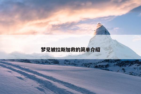 梦见被拉斯加救的简单介绍