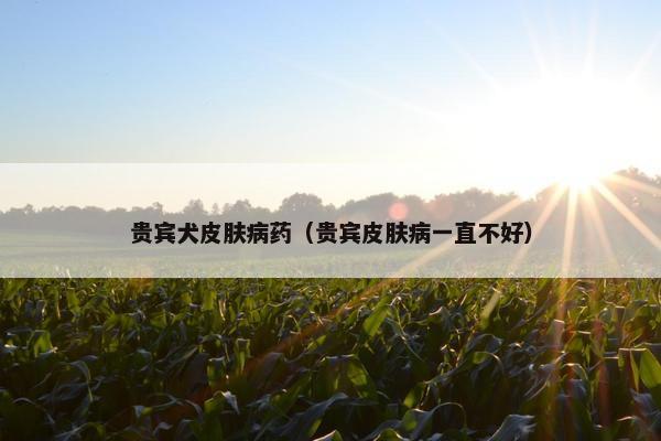 药物