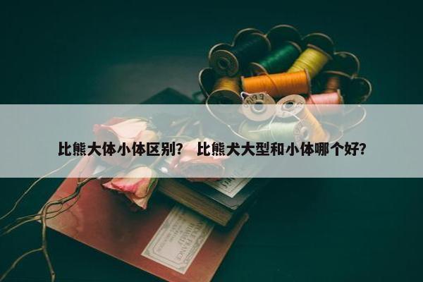 比熊大体小体区别？ 比熊犬大型和小体哪个好？
