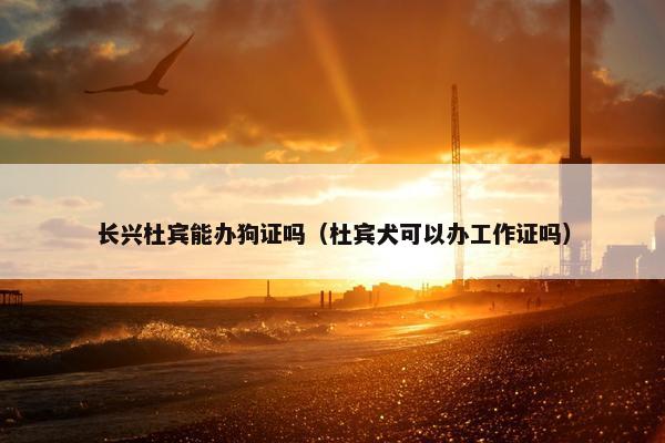 办理
