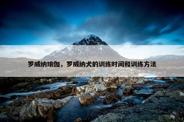 罗威纳 第2页