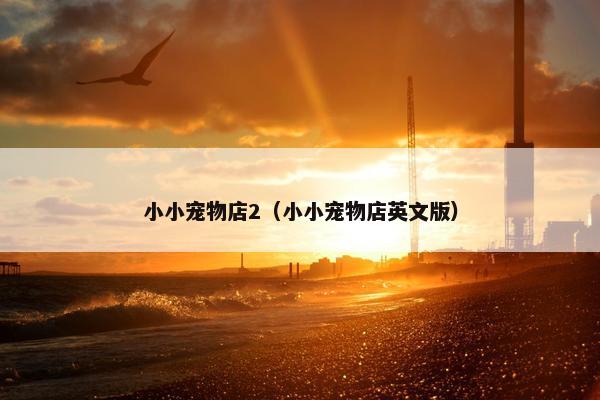 小小宠物店2（小小宠物店英文版）