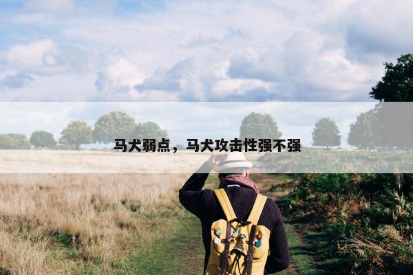 打骂