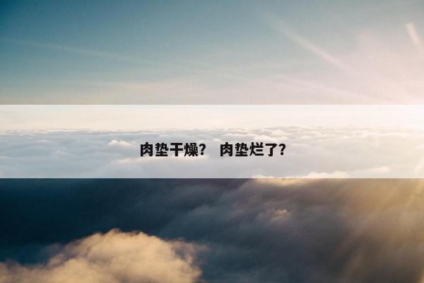 肉垫干燥? 肉垫烂了?