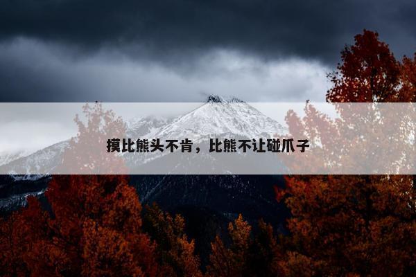 摸比熊头不肯，比熊不让碰爪子