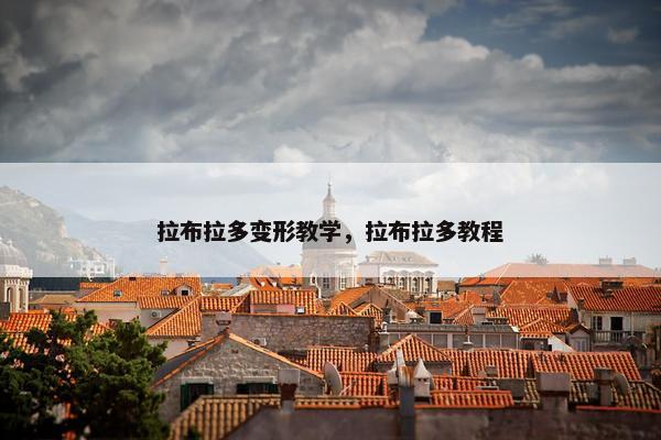 拉布拉多变形教学，拉布拉多教程