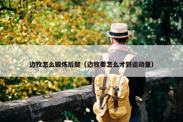 金生 第12页