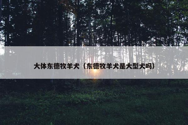 大体东德牧羊犬（东德牧羊犬是大型犬吗）