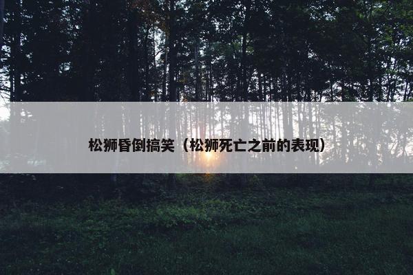 松狮昏倒搞笑（松狮死亡之前的表现）