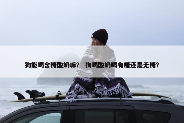 狗能喝含糖酸奶嘛？ 狗喝酸奶喝有糖还是无糖？